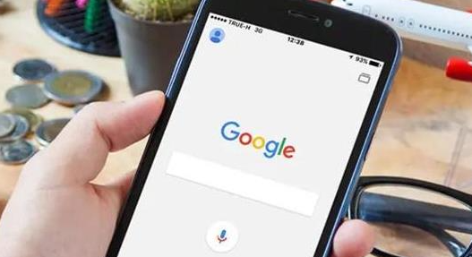 Google浏览器下载安装后功能插件快速配置教程