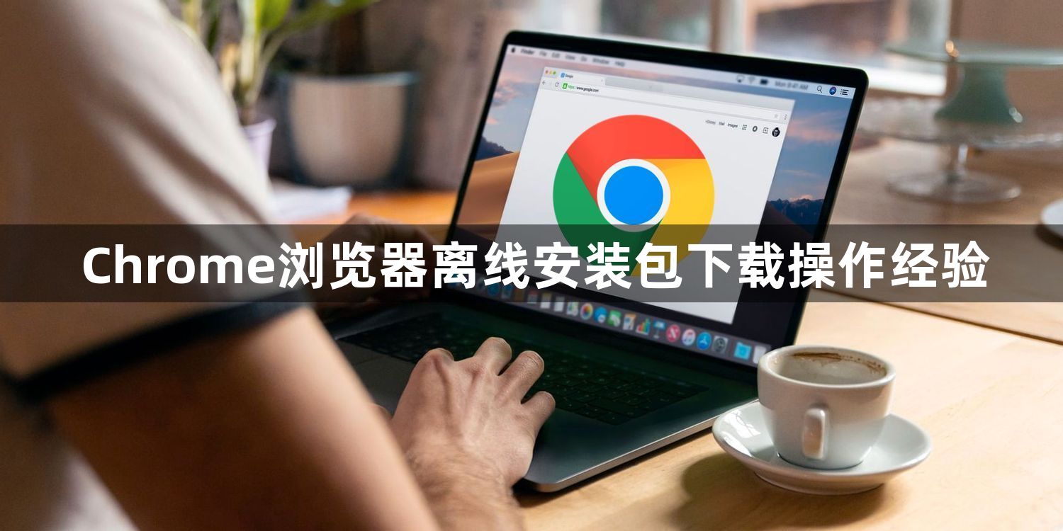 Chrome浏览器离线安装包下载操作经验1