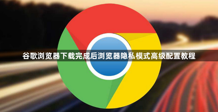 谷歌浏览器下载完成后浏览器隐私模式高级配置教程1