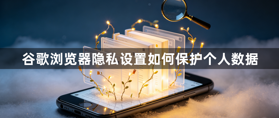 谷歌浏览器隐私设置如何保护个人数据1