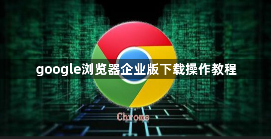 google浏览器企业版下载操作教程1