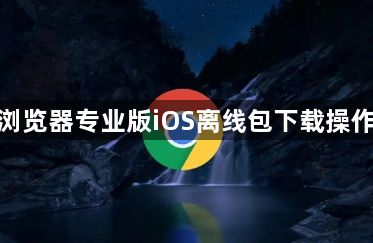 谷歌浏览器专业版iOS离线包下载操作经验1